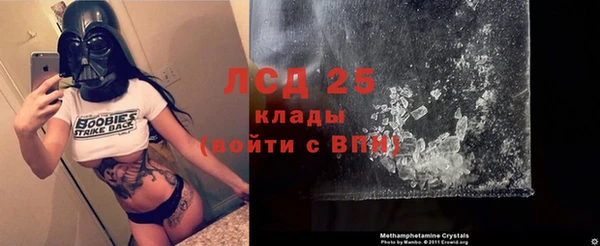 дживик Новодвинск