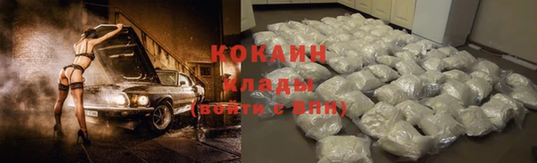дживик Новодвинск