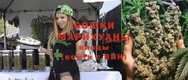 гидра Новозыбков