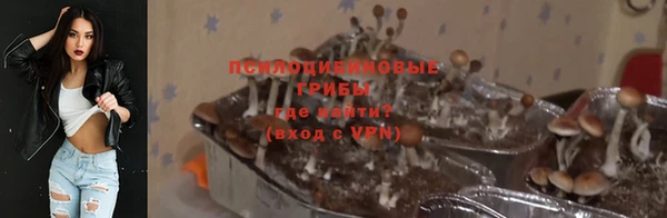 гидра Новозыбков