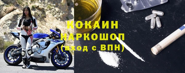 гидра Новозыбков