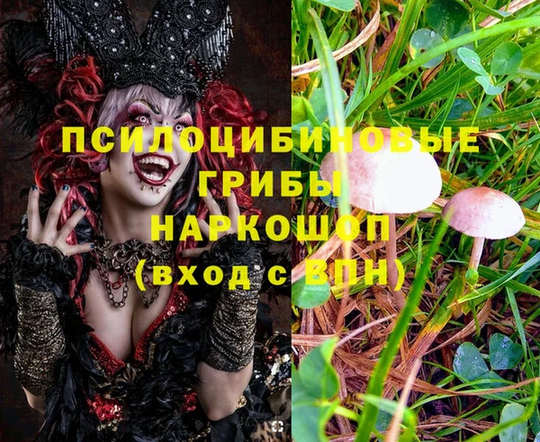 меф Новокубанск