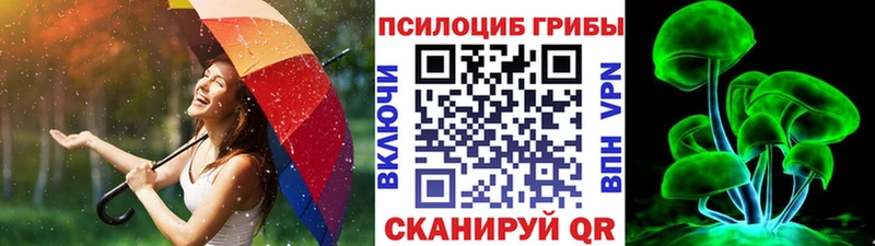 купить  сайты  Саранск  Галлюциногенные грибы Psilocybine cubensis 